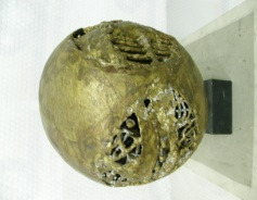 Sphere, œuvre de Constantin Andréou